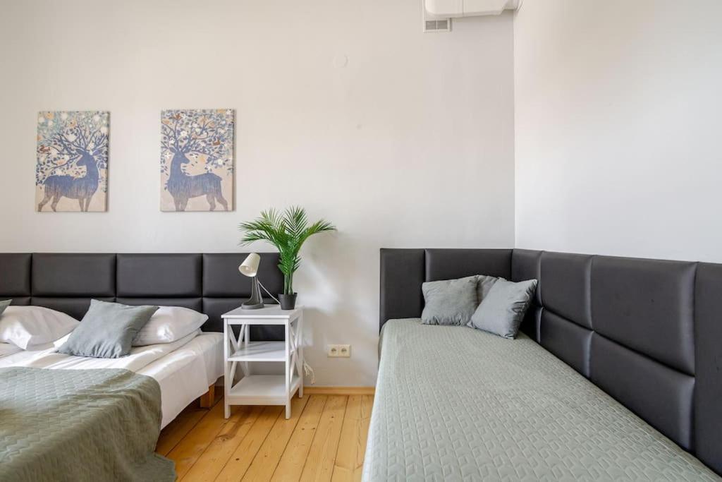 קרקוב Florianska Gate Luxury Apartments מראה חיצוני תמונה